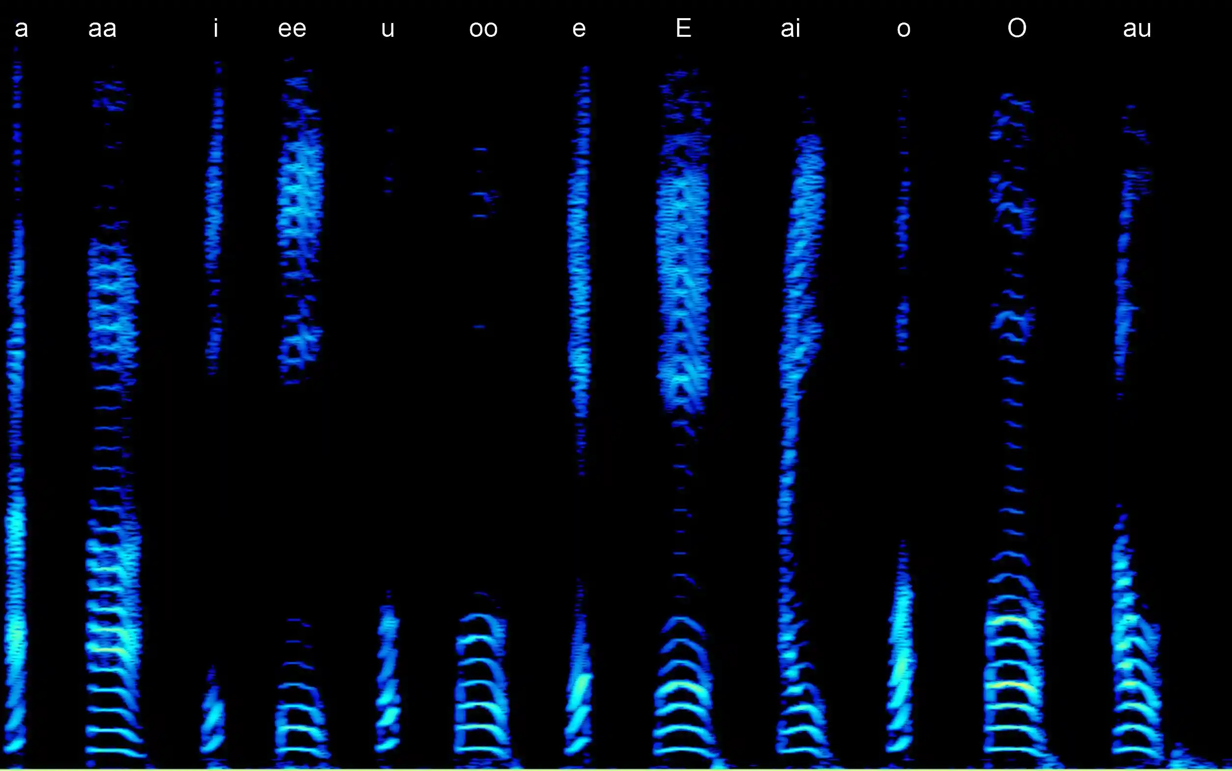 Vowels spectrogram